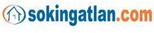 sokingatlan.com